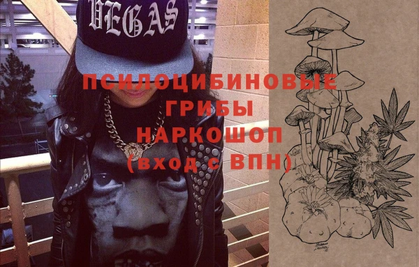 ПСИЛОЦИБИНОВЫЕ ГРИБЫ Покровск