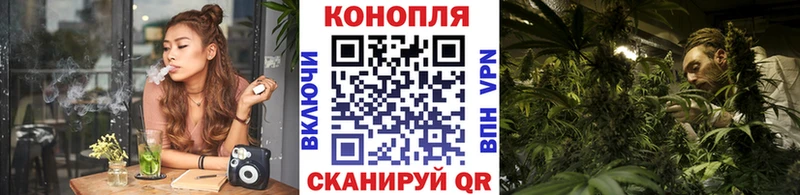 Бошки Шишки семена  где найти наркотики  kraken ТОР  Туран 